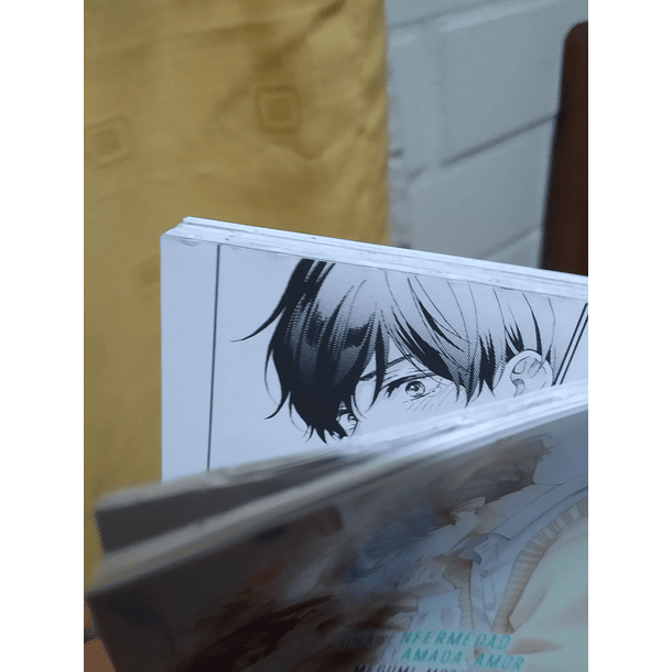 Una enfermedad llamada amor 13 - CON DETALLE 7