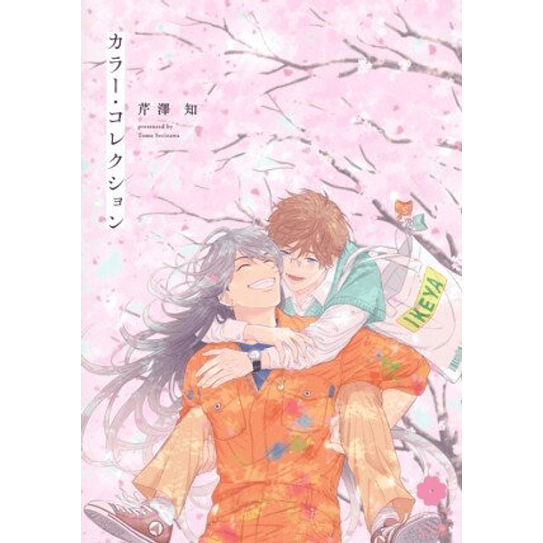 RESERVA / Color Collection