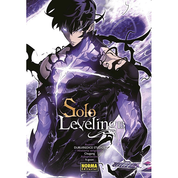 RESERVA / Solo Leveling 13