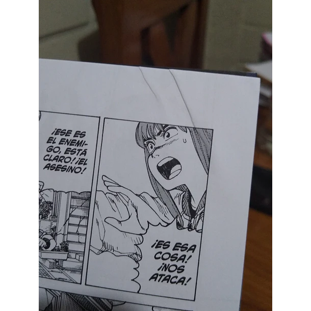 Heavenly Delusion 11 - CON DETALLE 7