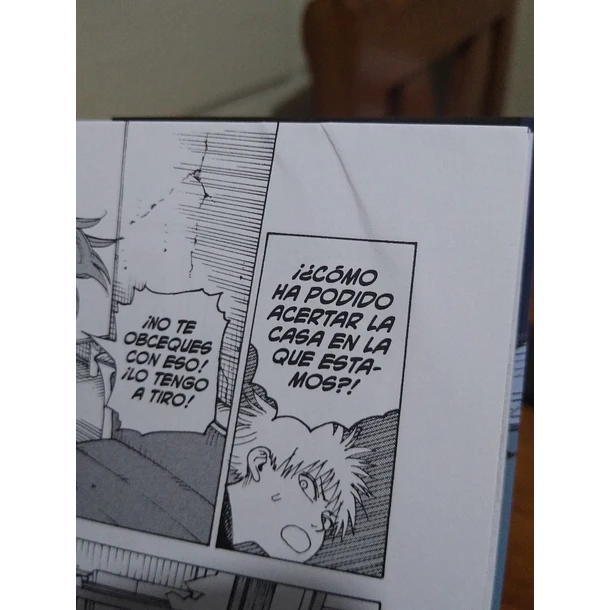 Heavenly Delusion 11 - CON DETALLE 10