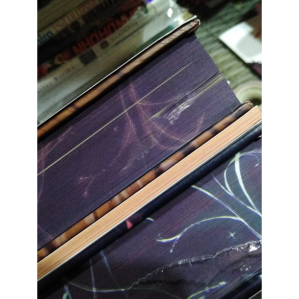 Pequeño Hongo - CON DETALLE 3