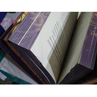 Pequeño Hongo - CON DETALLE 4