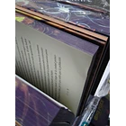 Pequeño Hongo - CON DETALLE 5