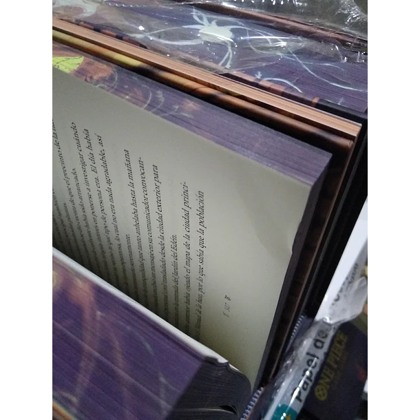 Pequeño Hongo - CON DETALLE 5