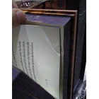 Pequeño Hongo - CON DETALLE 6