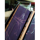 Pequeño Hongo - CON DETALLE 8