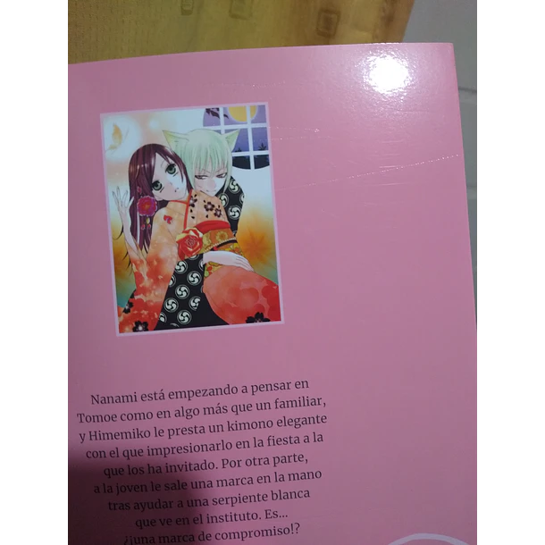 Kamisama Kiss 2 - CON DETALLE 2