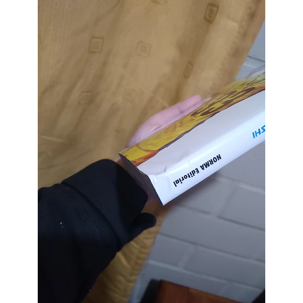 AO ASHI 33 - CON DETALLE