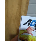 AO ASHI 33 - CON DETALLE 4