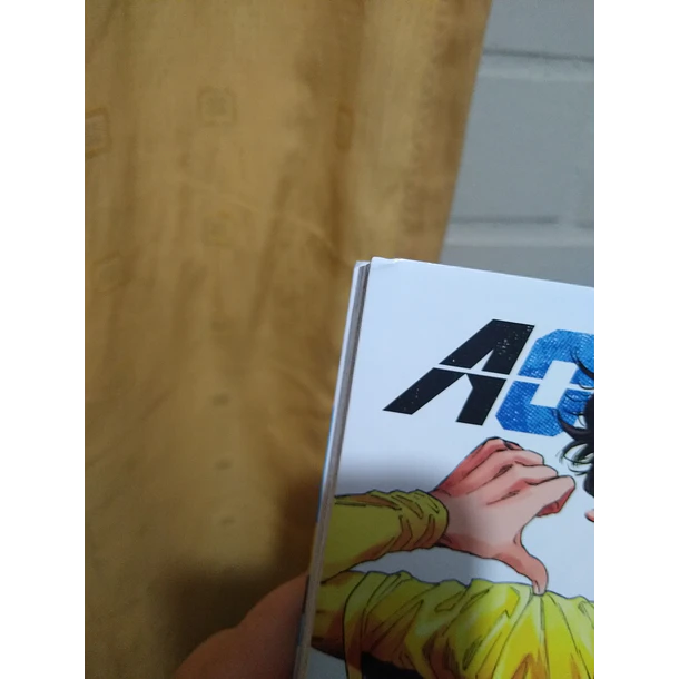 AO ASHI 33 - CON DETALLE 4