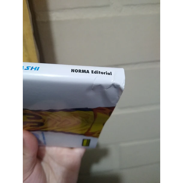 AO ASHI 33 - CON DETALLE 5