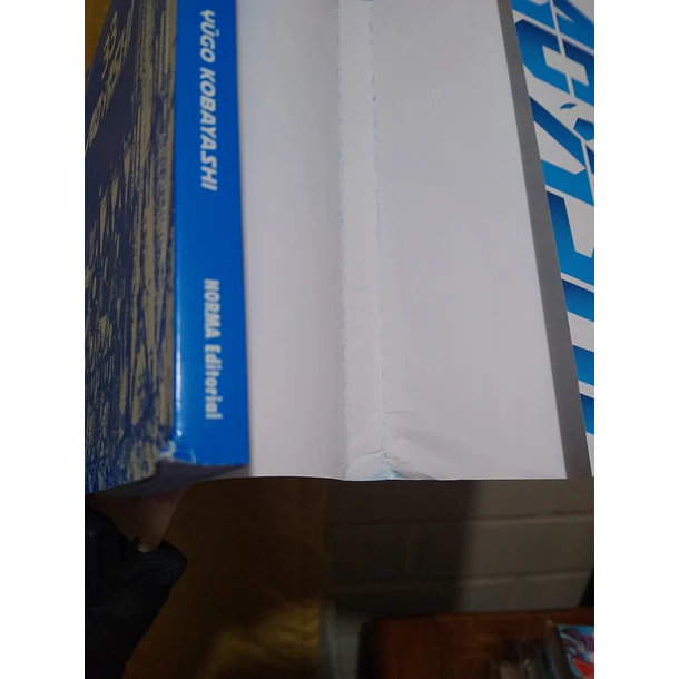 AO ASHI 33 - CON DETALLE 6