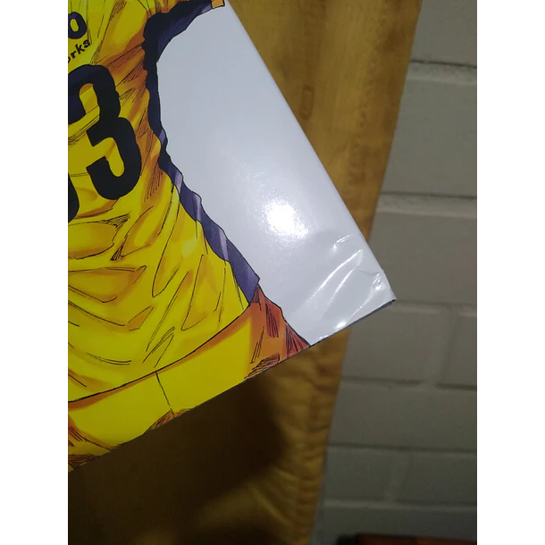 AO ASHI 33 - CON DETALLE 7