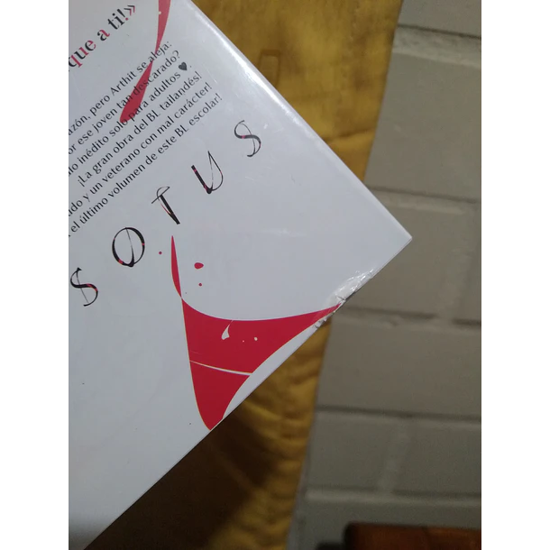 Sotus 3 - CON DETALLE 2