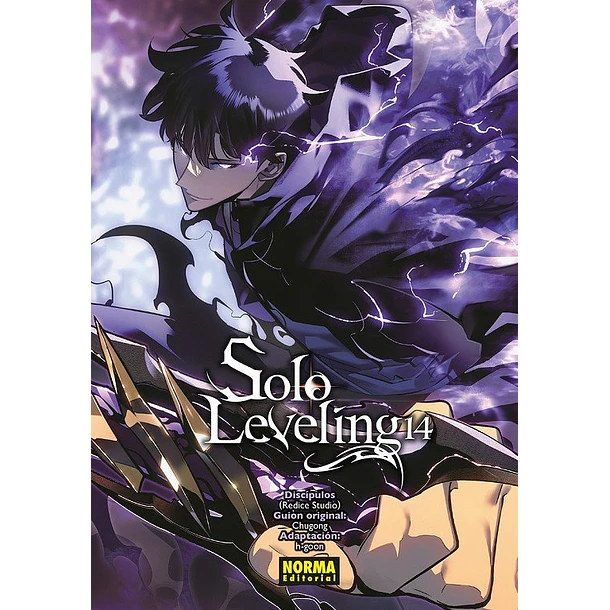 RESERVA / Solo Leveling 14