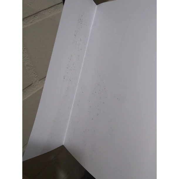 Cuando florece el deseo 1 - CON DETALLE 4