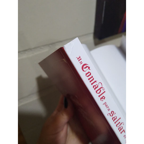 Un contable para salvar el reino 6 - CON DETALLE 3