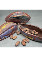 Vaina Fruto de Cacao Pintado con semillas Tostadas
