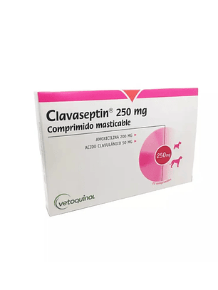 CLAVASEPTIN 250 MGR. X 10 COMPR. 
