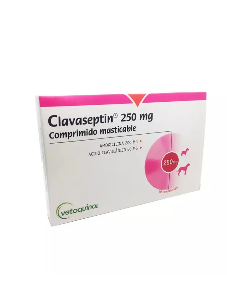 CLAVASEPTIN 250 MGR. X 10 COMPR.  1