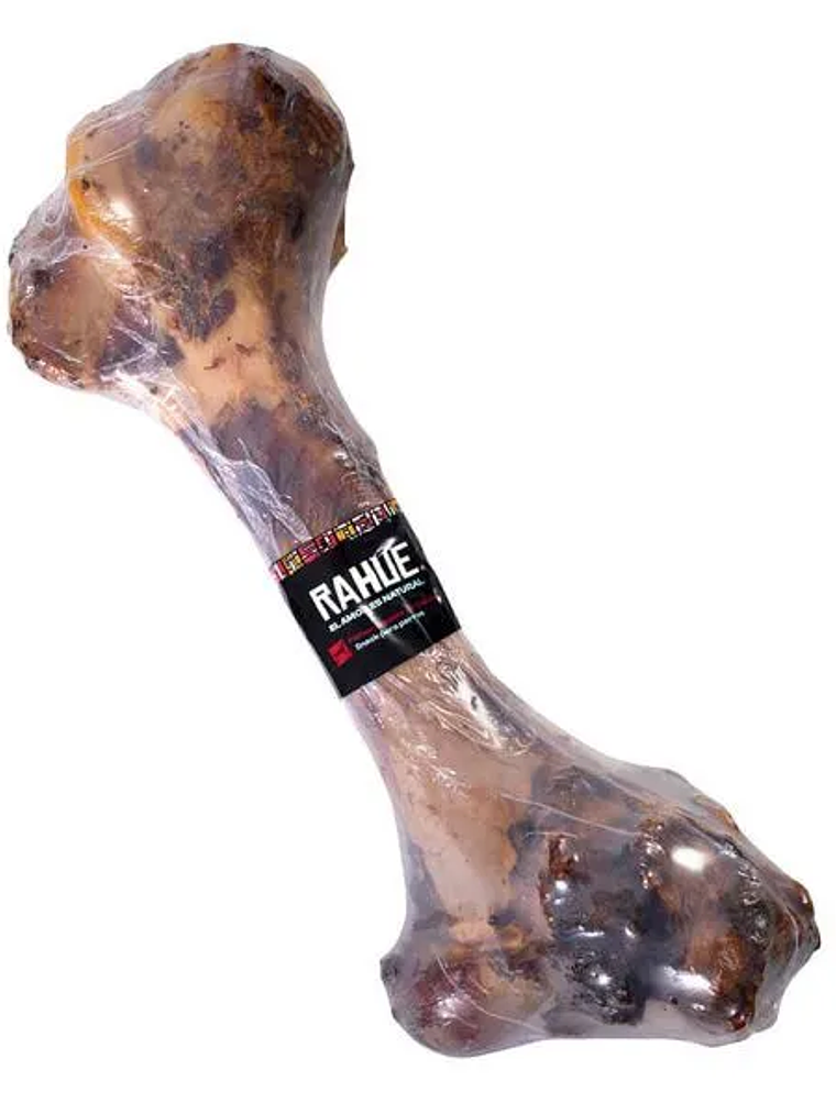 Femur de vacuno  1