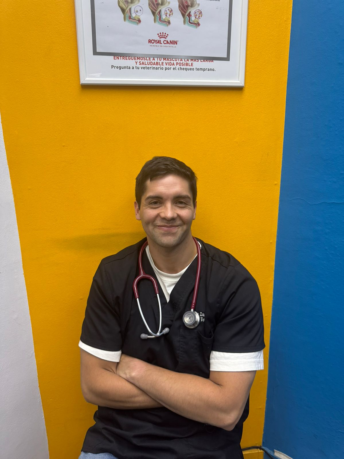 Consulta Veterinaria 1