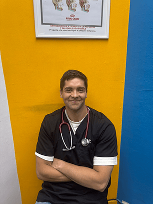 Consulta Veterinaria