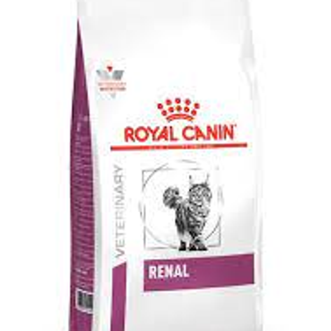 Royal Canin Feline Renal 2 Kg 1