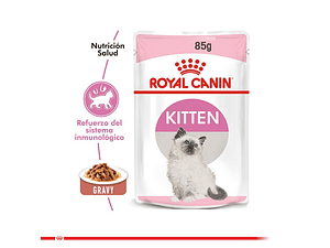 Royal Canin Pouch Gato Kitten