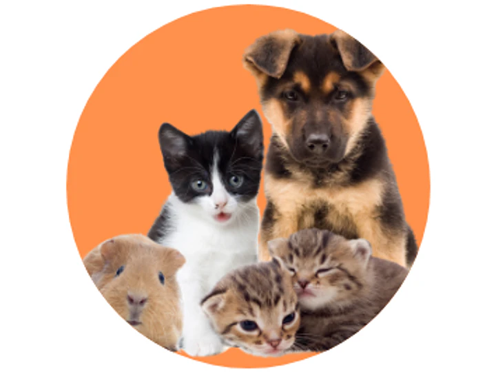 Bienvenidos a Happy Pets