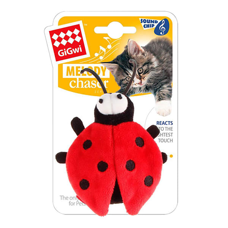 Melody Chaser Chinita 1