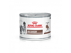 Royal Canin Recovery Lata 145 Grs