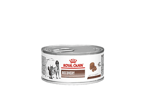 Royal Canin Recovery Lata 145 Grs