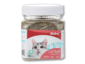 Catnip Bioline 20 Grs