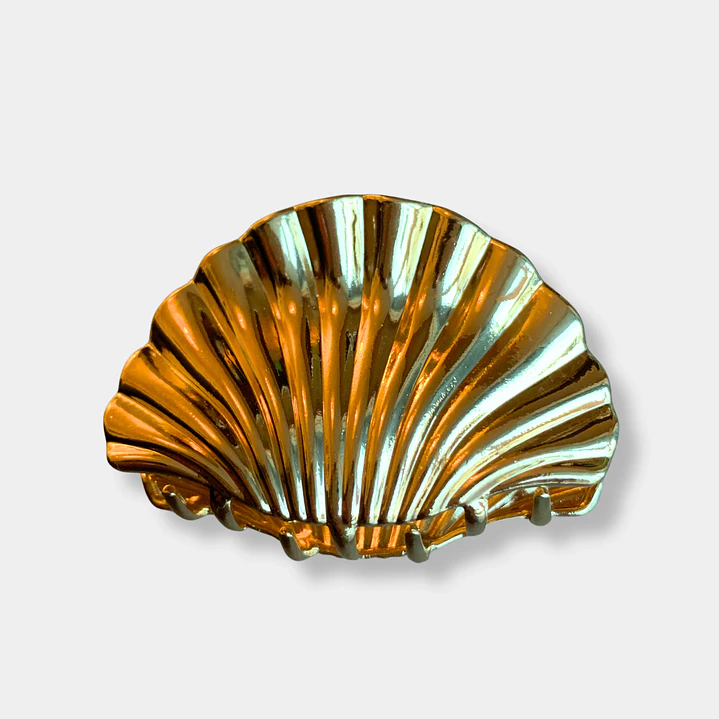 PINCHE CONCHA DORADO  1
