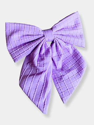 PINCHES CINTAS MORADA