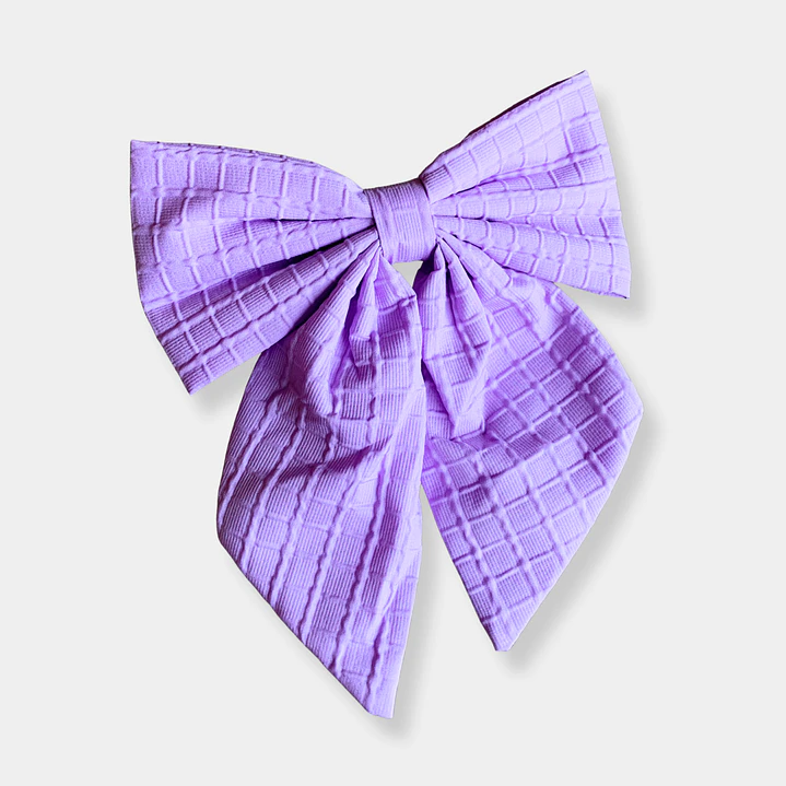 PINCHES CINTAS MORADA 1