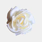PINCHES FLOR TELA BLANCO  - Miniatura 1