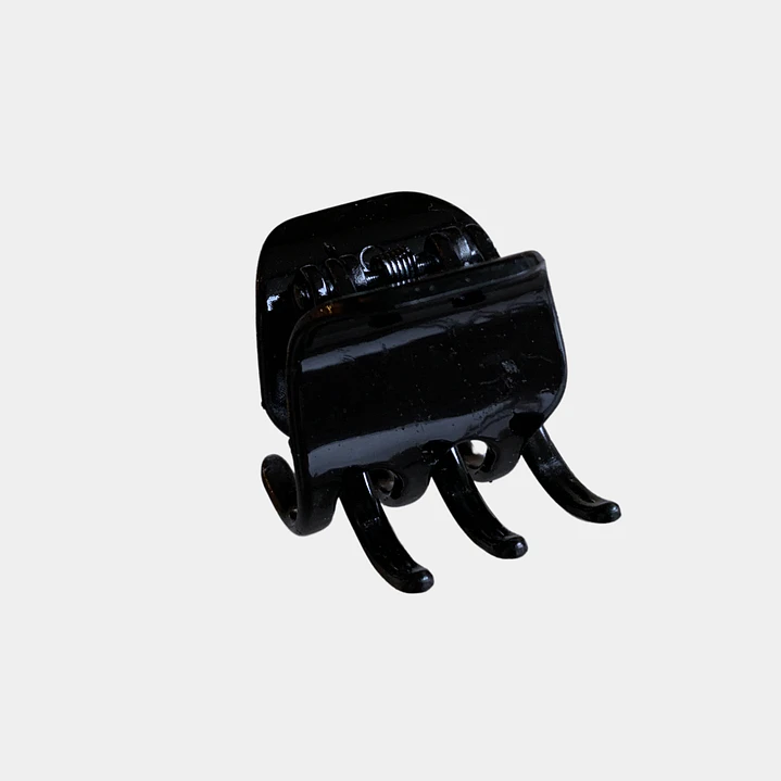 PINCHE NEGRO  1