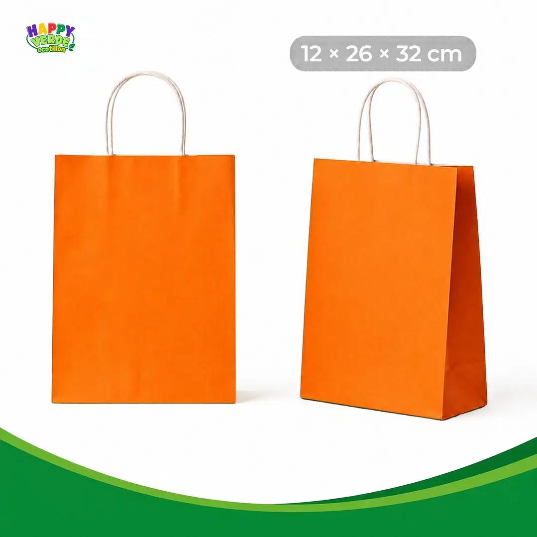 Bolsa Grande de Papel 26x32x12cm Varios Colores 6
