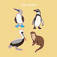fauna en primavera - set de stickers - Miniatura 5