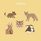 fauna en primavera - set de stickers - Miniatura 3
