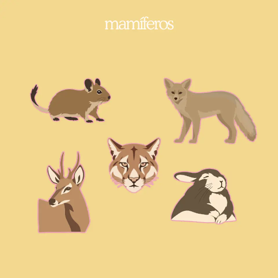 fauna en primavera - set de stickers 3
