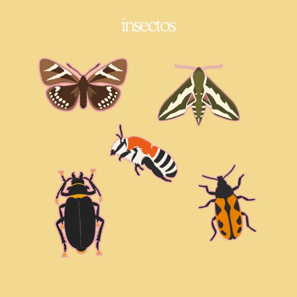 fauna en primavera - set de stickers 4