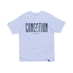 Camiseta Fit Oversize o Regular 100% Algodon 004