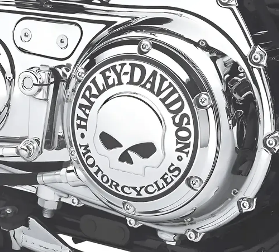 Tampa Primária Willie Skull Harley-davidson Sportster 04-22 4