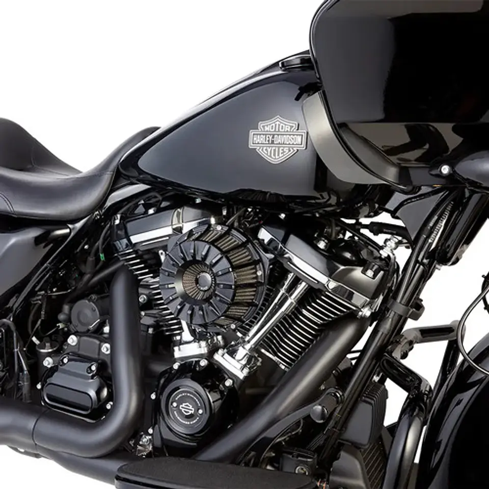 Arlen Ness 15-spoke Inverted Series Air Cleaner Hd M8 5