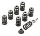 Harley-davidson Screamin Eagle Performance Valve Spring Kit - Thumbnail 1