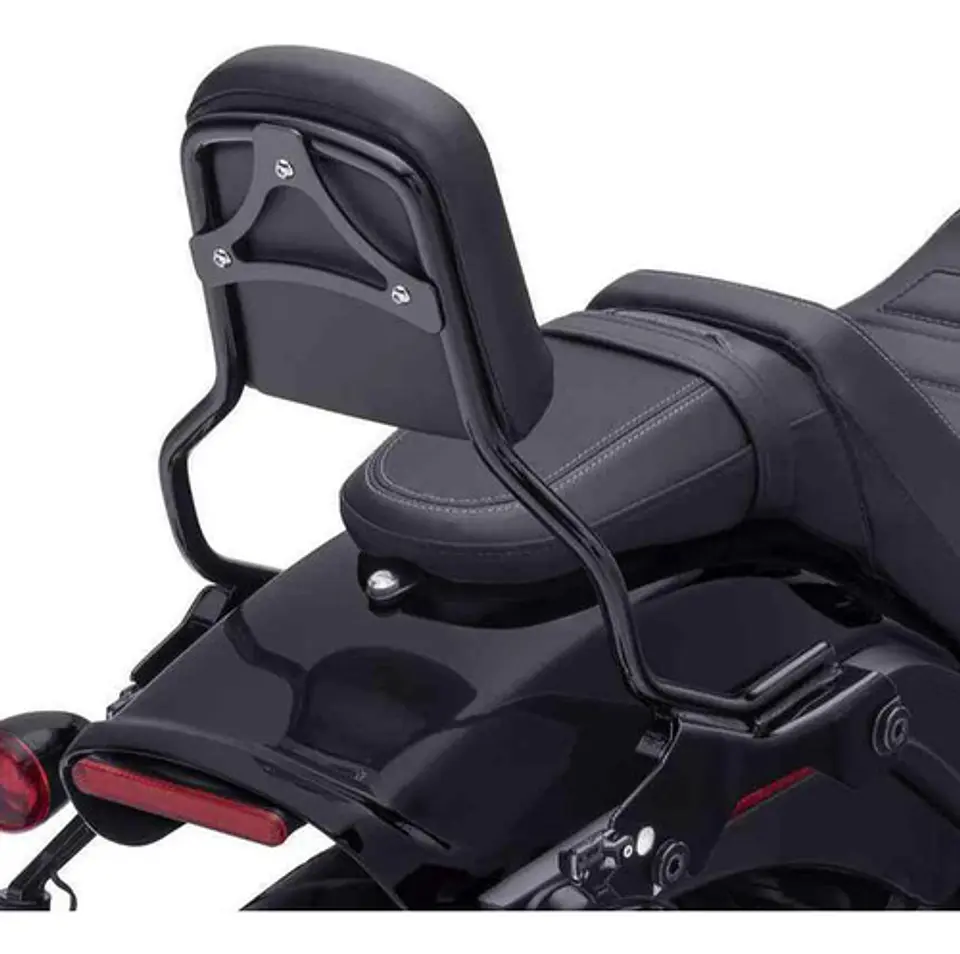 Tcmt Backrest Sissy Bar For Harley-davidson Softail 2018-24 2